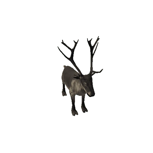 Reindeer_RM_FV_SLP (Fur1)